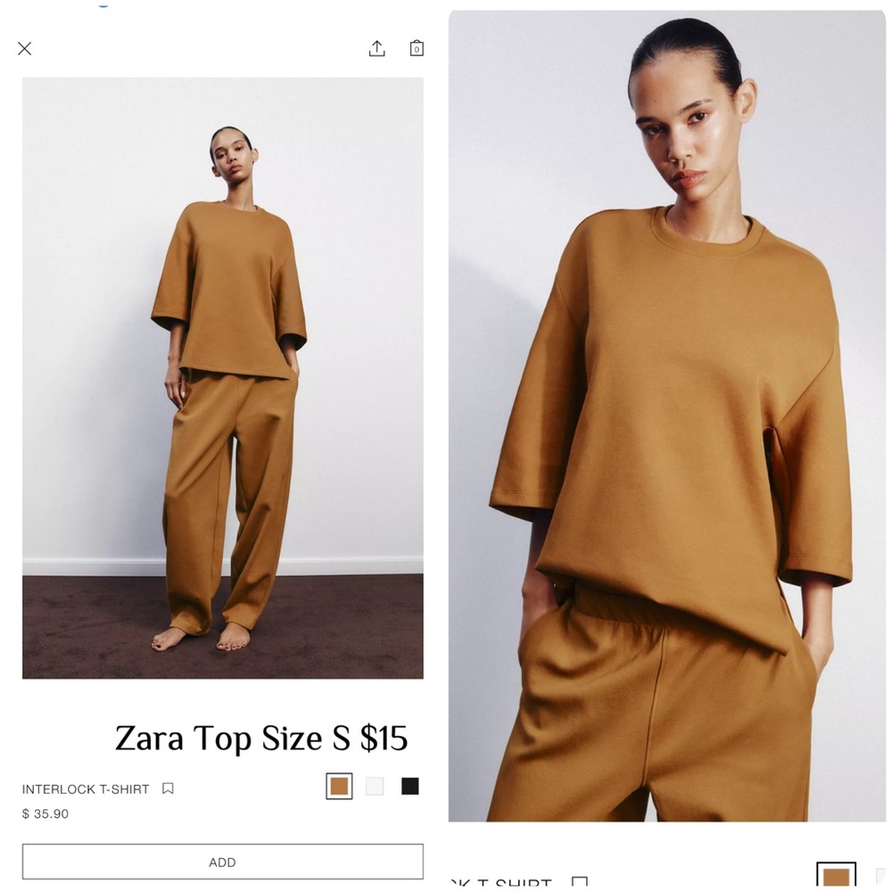 Zara Camel Top and Pants Ensemble